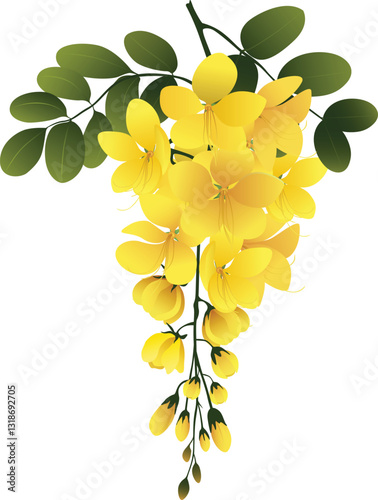 Golden Cassia Fistula Flower Bunch, Kani Konna Flower for Vishu Festival, Vector Graphics