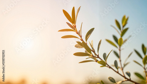 Wallpaper Mural Delicate olive branch against pastel sky at sunrise, symbol of peace Torontodigital.ca