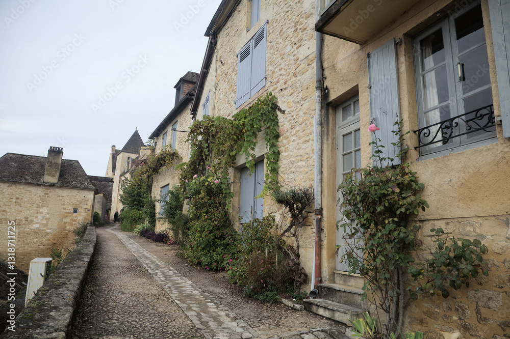 Stone houses nestled along a quiet pathway in Beynac-et-Cazenac village, France