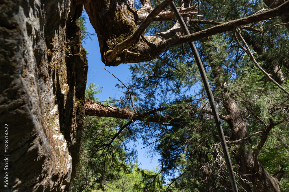 Samaria Gorge Landscape