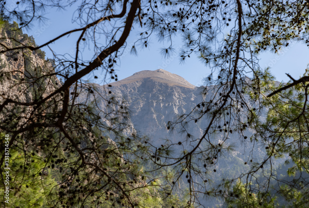 Samaria Gorge Landscape