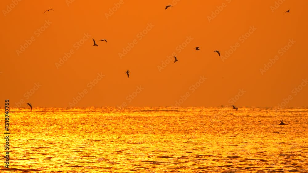 Birds Sunset Sea Silhouetted birds fly over a sea at sunset.