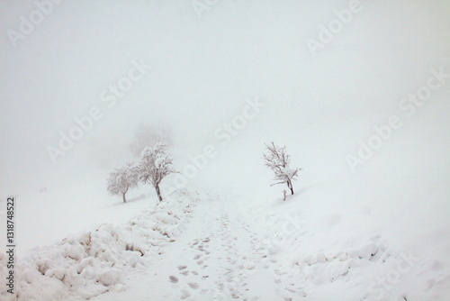 strade nella campagna bianca di neve in una giornata invernale photo