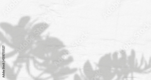 Delicate shadows of leaves and branches dance across a white concrete wall, softly overlaid with natural light and a hint of tropical foliage blur for a naturally lit composition.