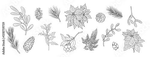 Set of Christmas botanical drawings. Collection of winter foliage, pine leaves, cones, holly, mistletoe, poinsettia plants. Vector Design for print, sticker, decoration, card, poster, artwork.