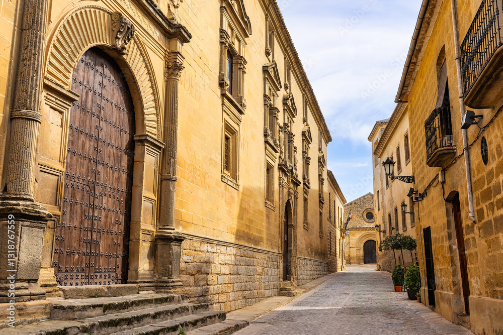 Fototapeta premium Facades of impressive medieval-style houses in the historic center of Baeza, Jaen, Andalusia.