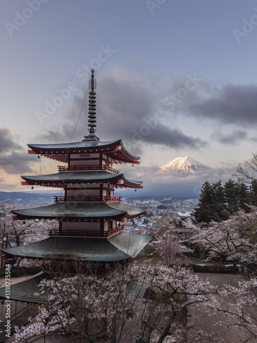 Obraz na płótnie Chureito Pagoda with Mount Fuji and Cherry Blossoms w salonie