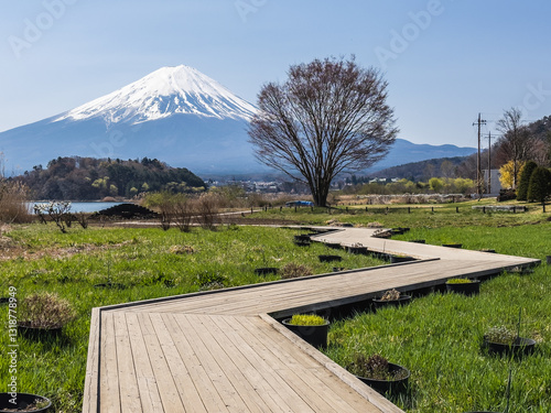 Obraz na płótnie Pathway to Mount Fuji Serenity w salonie
