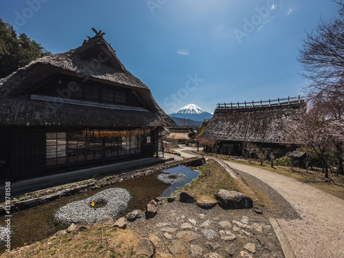 Obraz na płótnie Historic Village with Mount Fuji w salonie