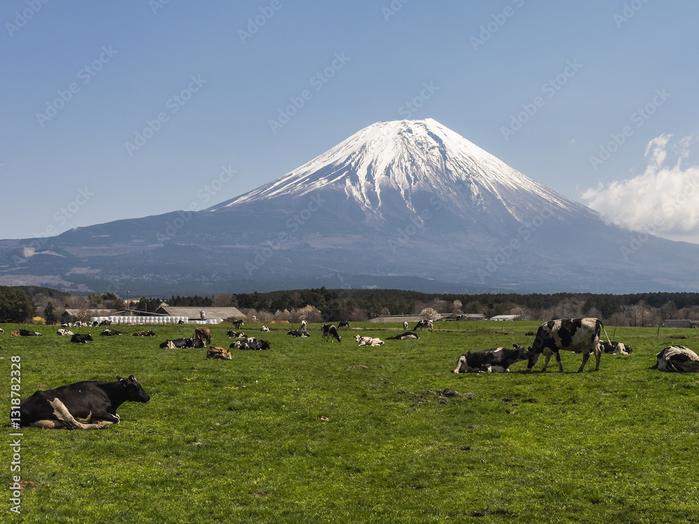 Pastoral Scene with Mount Fuji