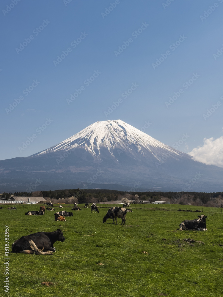 Pastoral Scene with Mount Fuji