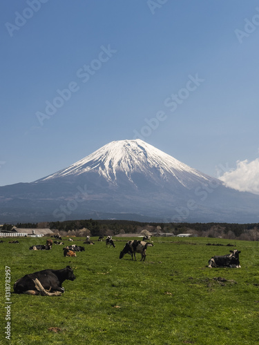 Obraz na płótnie Pastoral Scene with Mount Fuji w salonie
