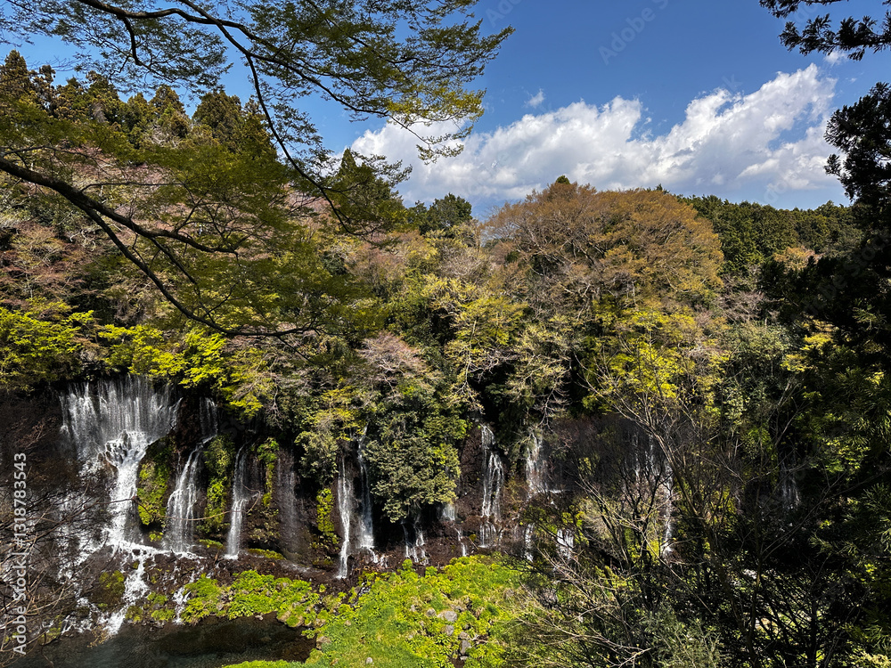 Shiraito Falls in a Spring