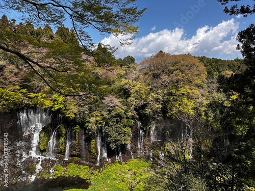 Obraz na płótnie Shiraito Falls in a Spring w salonie