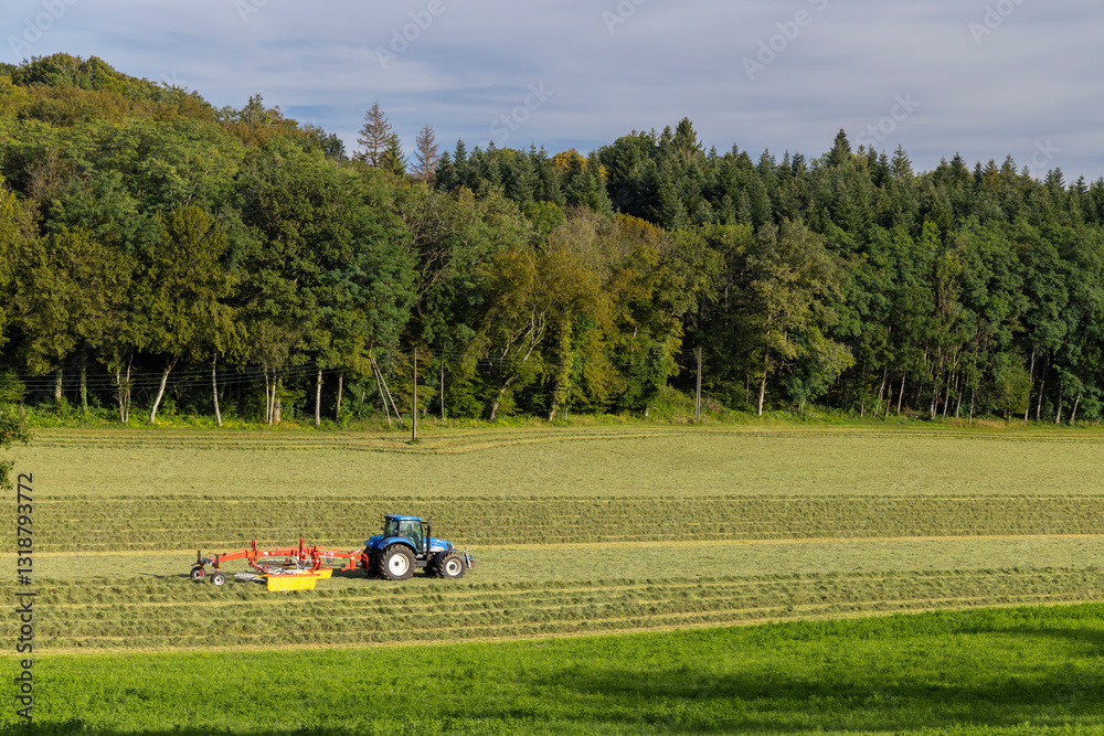 Tractor turning hay in spring meadow, Jura, France