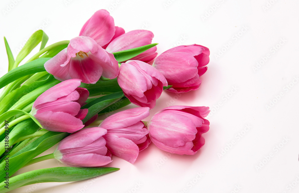 Tulip flower bunch on pink, Fresh flowers bouquet. Mother day. Spring, women day Tulip flower bunch on pink, Fresh flowers bouquet. Mother day. Spring, women day