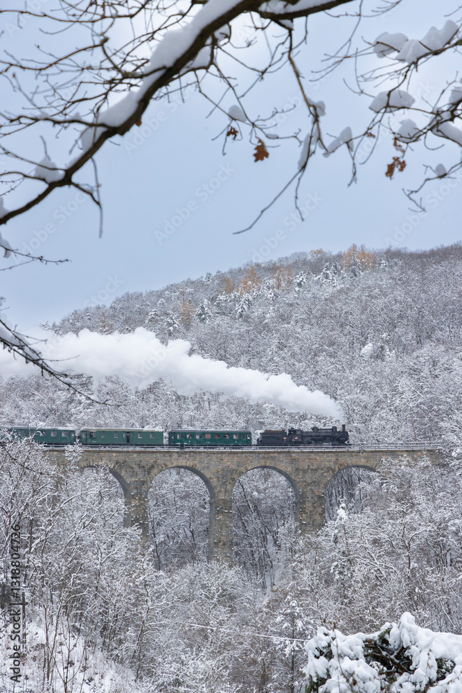 Steam locomotive on Zampach bridge near Jilove u Prahy, Central Bohemia, Czech Republic