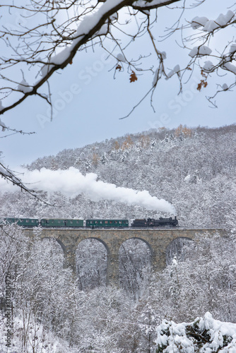 Obraz na płótnie Steam locomotive on Zampach bridge near Jilove u Prahy, Central Bohemia, Czech Republic w salonie