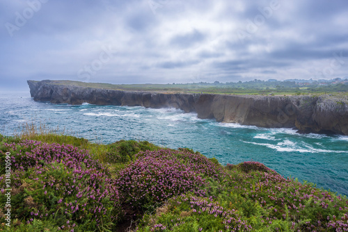 Typical landscape with cliffs above sea near Ribadesella (Ribeseya), Asturias, Spain