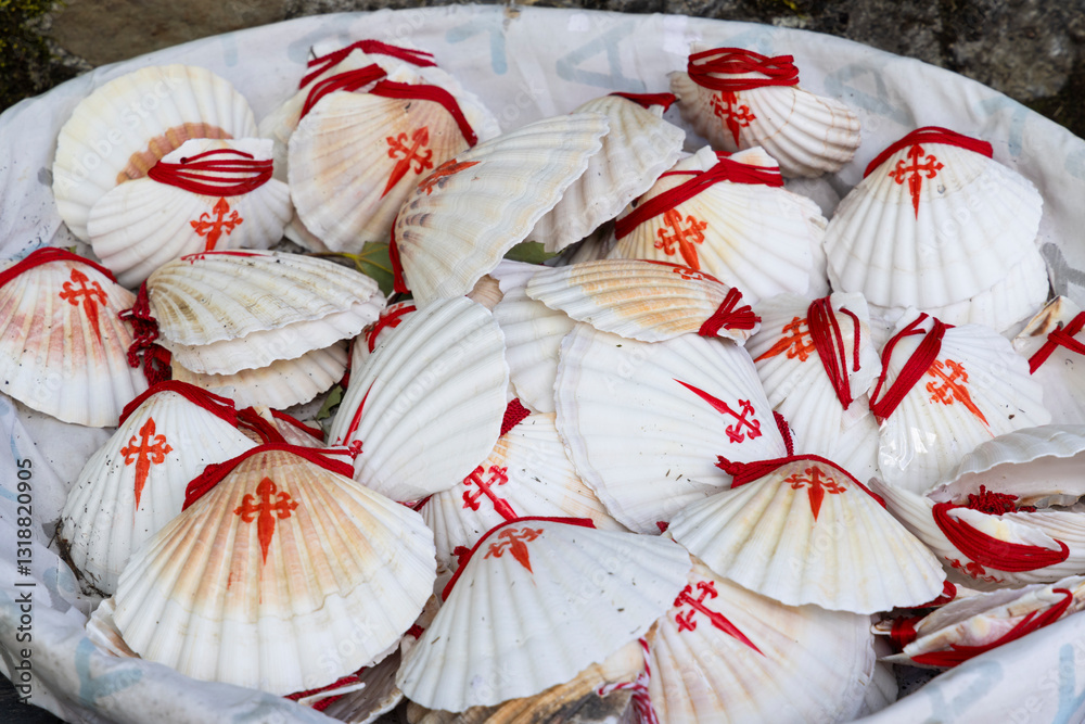 the symbol of the Way of St. James, the shell of St. Jacob