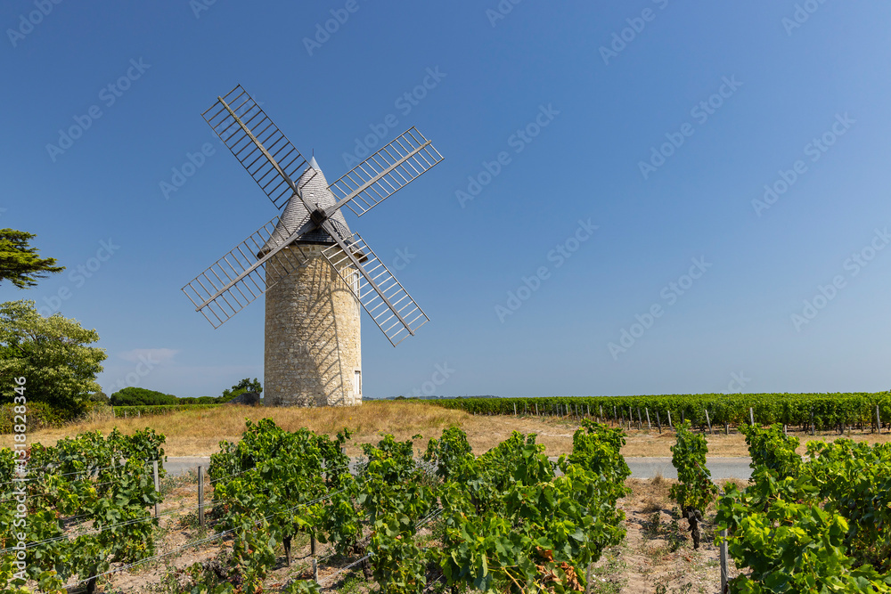 Windmill with vineyard near Montagne, Saint-Emilion wine region, departement Gironde, France