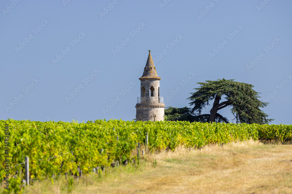 Typical vineyards near Chateau la Tour de By, Bordeaux, Aquitaine, France