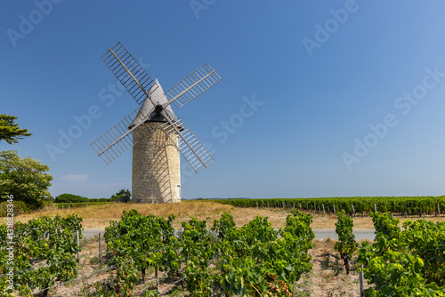 Obraz na płótnie Windmill with vineyard near Montagne, Saint-Emilion wine region, departement Gironde, France w salonie