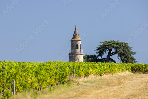 Obraz na płótnie Typical vineyards near Chateau la Tour de By, Bordeaux, Aquitaine, France w salonie