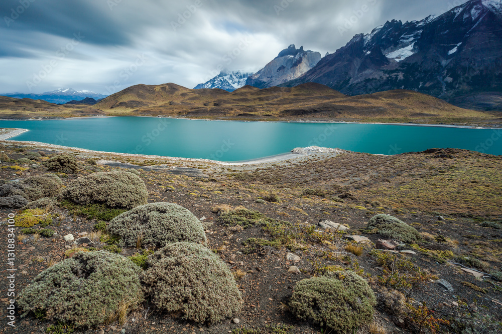 Nice view of Torres Del Paine National Park, Chile.