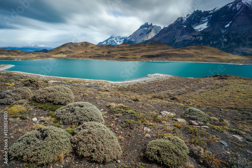 Obraz na płótnie Nice view of Torres Del Paine National Park, Chile. w salonie