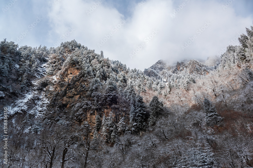Bipenggou National Park in Sichuan China, is a natural reserve blessed with typical alpine views, including virgin forest, plateau lakes, glaciers, snow mountains, tinkling streams and waterfalls