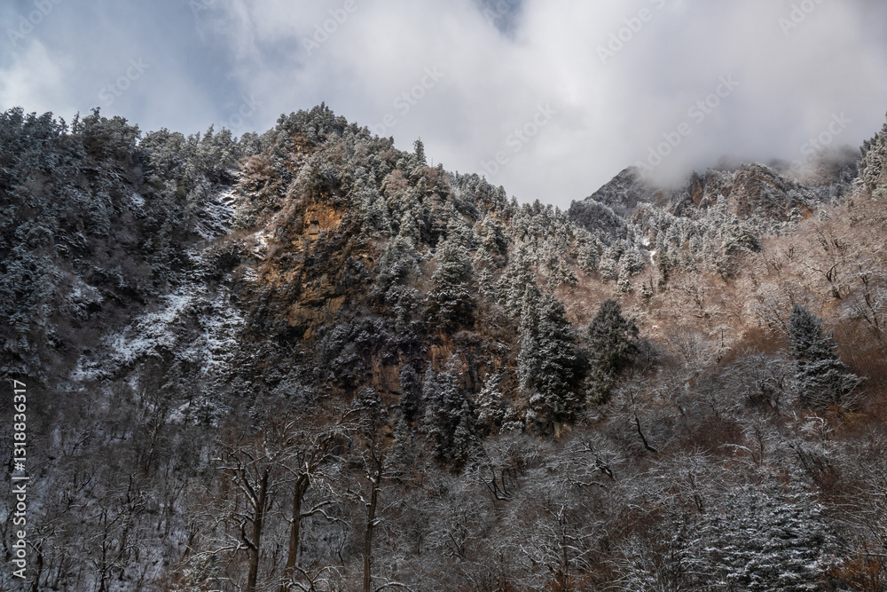 Bipenggou National Park in Sichuan China, is a natural reserve blessed with typical alpine views, including virgin forest, plateau lakes, glaciers, snow mountains, tinkling streams and waterfalls