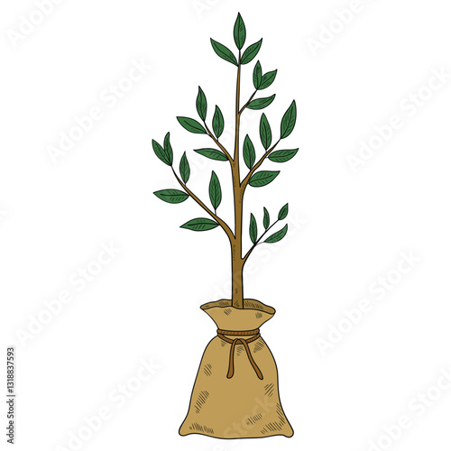Hand drawn cartoon tree seedling in a sack on white background.