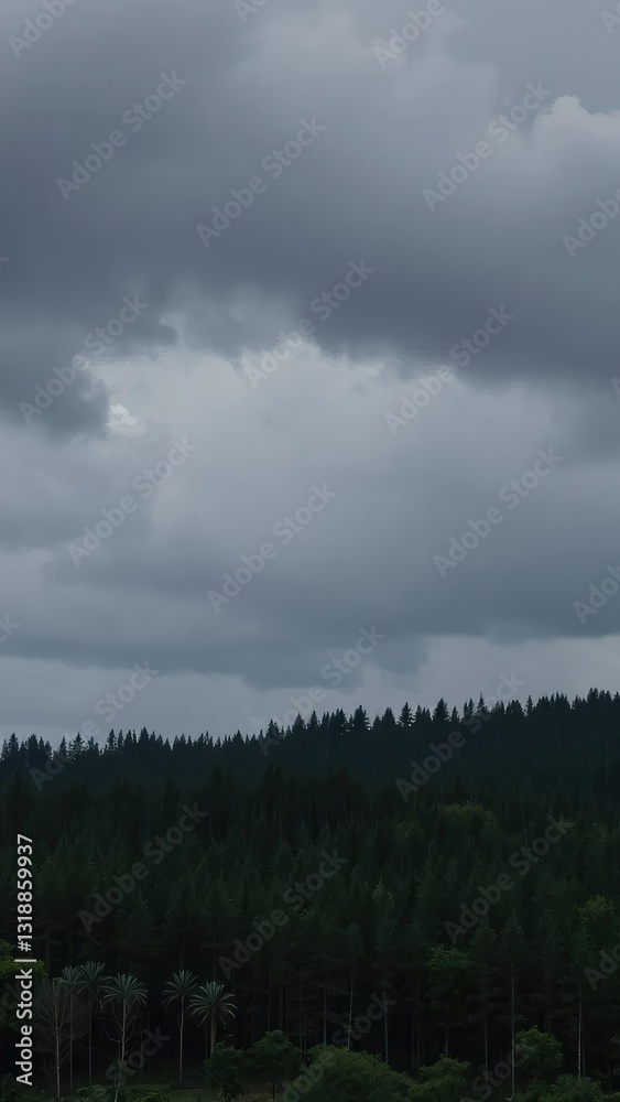 Rain falling from grey stormy clouds above a dark forest, grey, muddy Rain falling from grey stormy clouds above a dark forest, grey, muddy