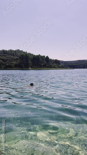Carefree boy wearing vibrant orange shorts diving headfirst into pristine lake, embodying childhood joy amid lush forest landscape under cloudless summer sky