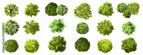 Vector set of Top view green tree for outdoor plan or map and architecture drawing, elements for environment and garden ,botanical elements ,Blooming flowers in spring,tropical plants element