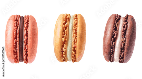 Vector set of french macaroon dessert macaron pastry illustration set isolated on white background