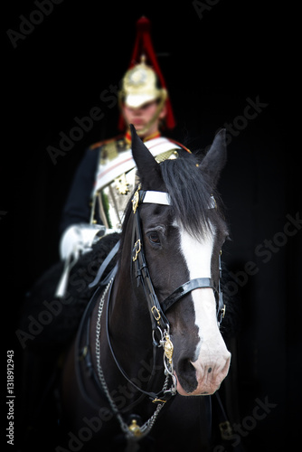Kings guard mounted on a black and white horse. Focus on horse with unrecignisable and unfocused guardsman.