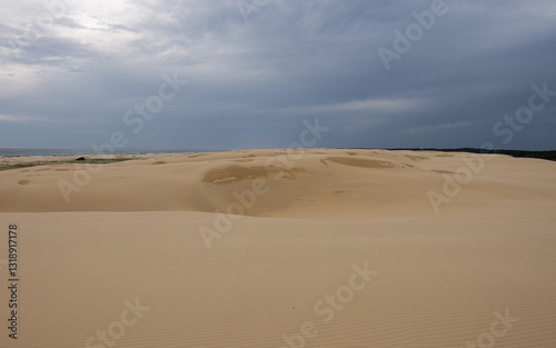 Fototapeta Naklejka Na Ścianę i Meble -  Empty sand dune with cloudy overcast sky.