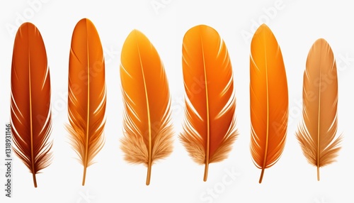 blue orange gold green purple pink brown silver feather isolated on white