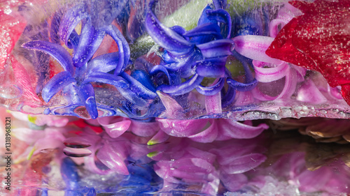 abstract watercolor style macro background frozen hyacinth flowers in ice water and their reflection on mirror photo