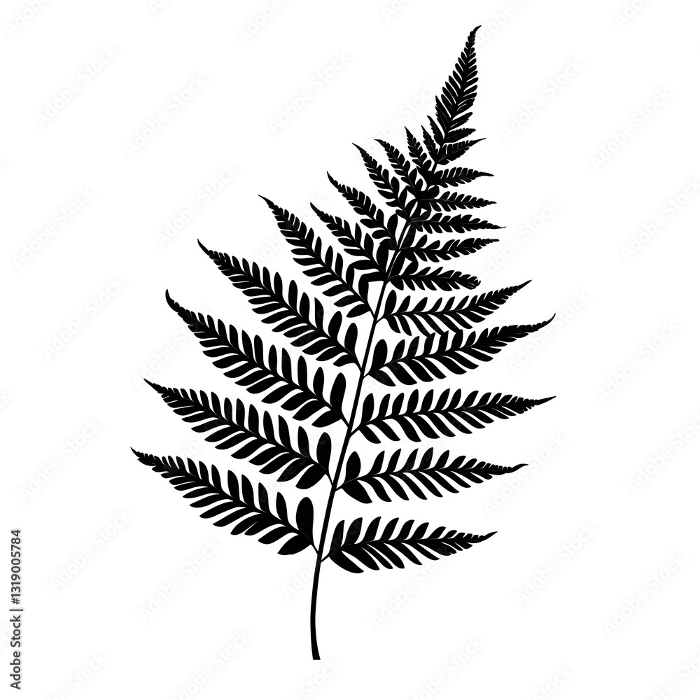 Silhouette of a Fern: A captivating silhouette of a fern leaf, highlighting its intricate patterns, perfect for botanical themes. Silhouette of a Fern: A captivating silhouette of a fern leaf, highlighting its intricate patterns, perfect for botanical themes.