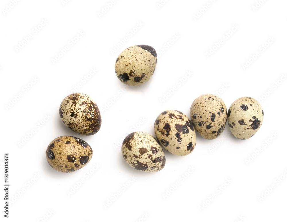 quail eggs on a white background quail eggs on a white background