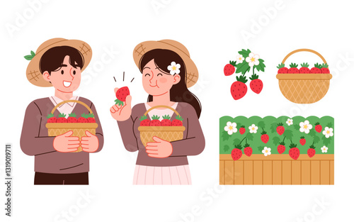 Farmer harvesting strawberries, field and harvest basket. Strawberry illustration collection.