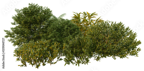 Fototapeta Naklejka Na Ścianę i Meble -  3D render of tropical shrubs and plants on transparent background
