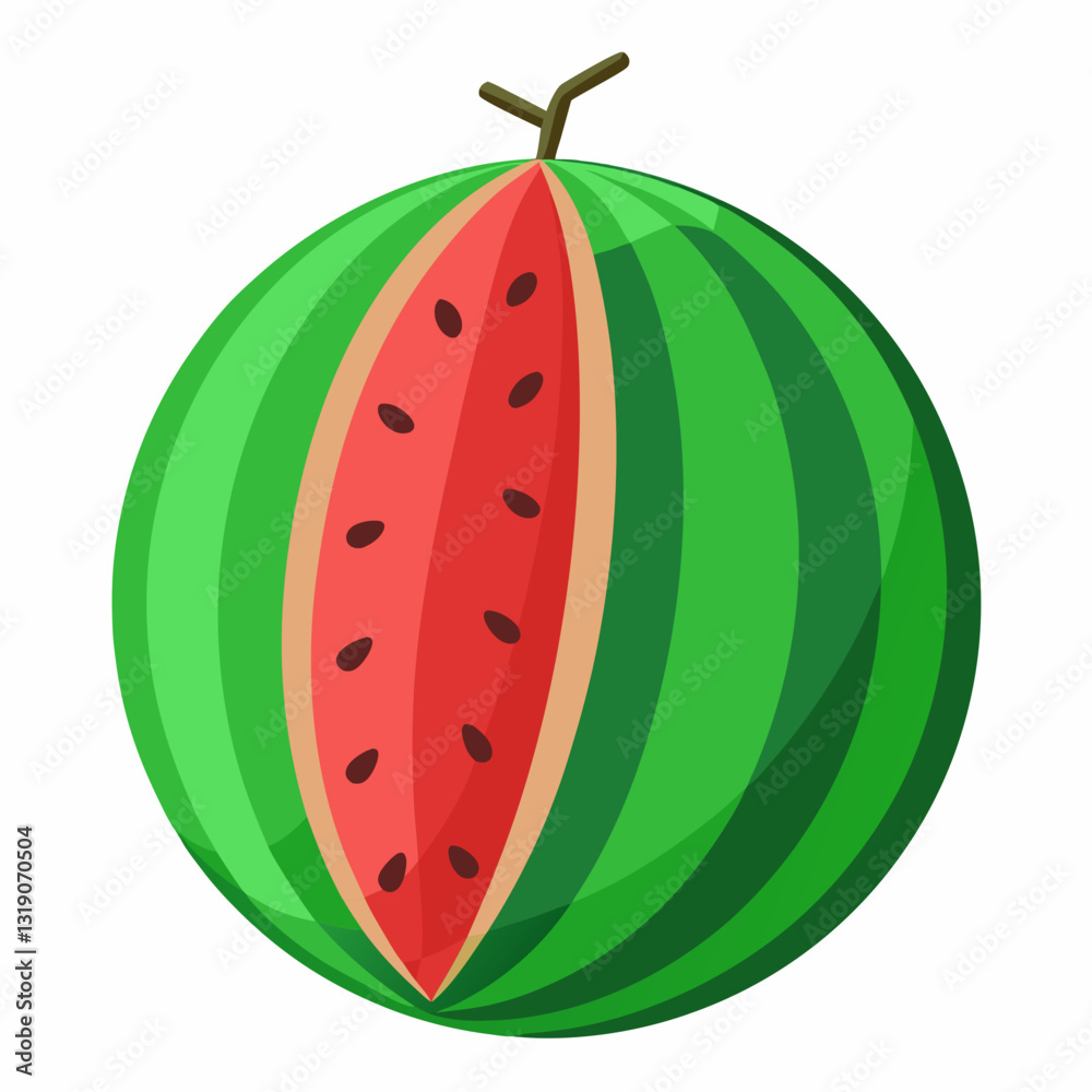 Watermelon vector illustration Watermelon vector illustration