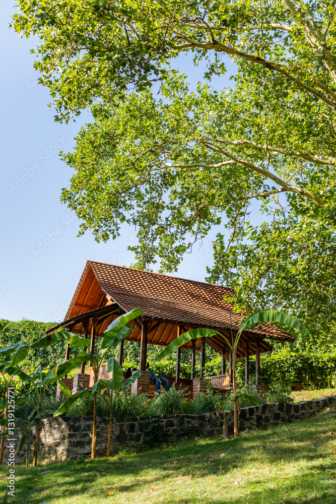 Traditional Indonesian gazebo with a tiled roof and brick base surrounded by lush greenery and banana plants under a blue sky. Wooden structure for outdoor relaxation and recreation. Traditional Indonesian gazebo with a tiled roof and brick base surrounded by lush greenery and banana plants under a blue sky. Wooden structure for outdoor relaxation and recreation.