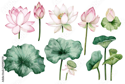 Watercolor Lotus generative AI