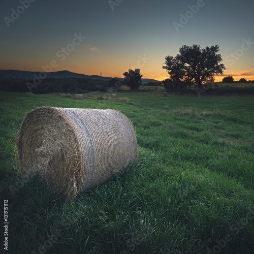 Botte de foin au crépuscule