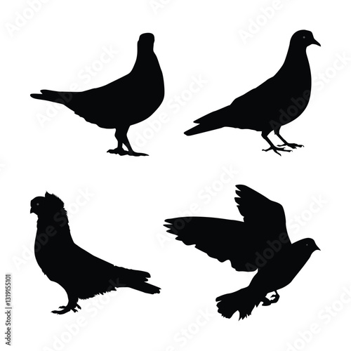 Set of pigeons black silhouettes illustration on white background Vol 01
